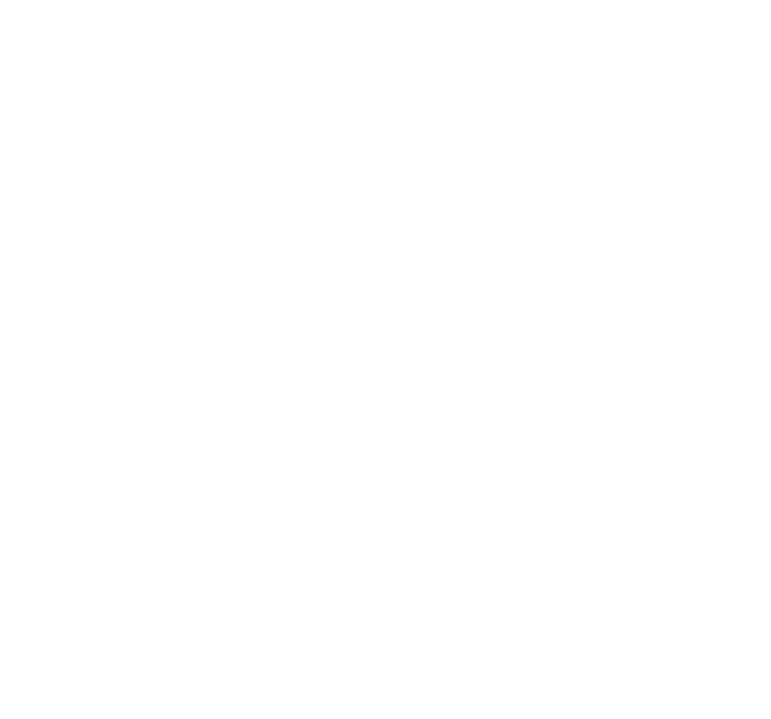 QuantumSpark decorative line